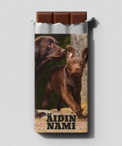 Äidin nami maitosuklaalevy 100 g ruskea labradorinnoutaja