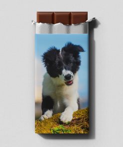 Bordercollie - Maitosuklaalevy 100 g