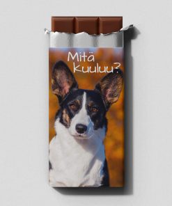 Welsh Corgi cardigan - Mitä kuuluu - maitosuklaalevy 100 g