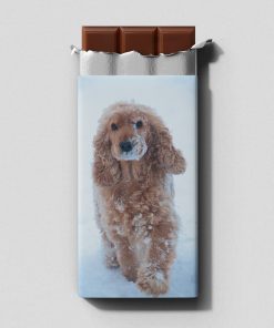 Cockerspanieli - Maitosuklaa 100 g