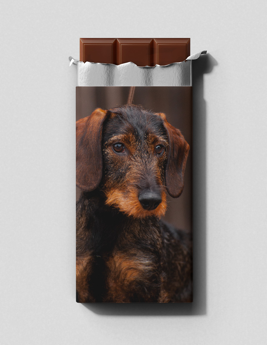 Karkeakarvainen mäyräkoira - maitosuklaalevy 100 g