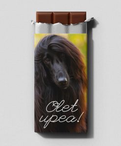 Olet upea - afgaaninvinttikoira - maitosuklaalevy 100 g